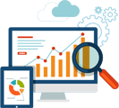 IT Niche Consultant